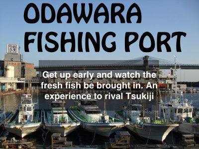 odawara port copy odawara port copy
